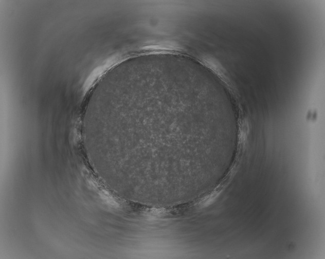 X0000111531357200908111216