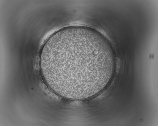 X0000111531358200908111216