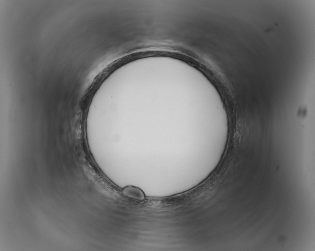 X0000111531360200908111216