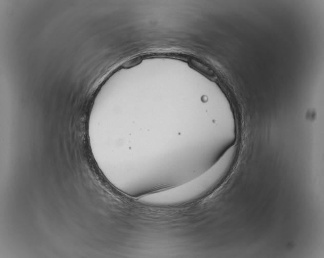 X0000111531361200908111216