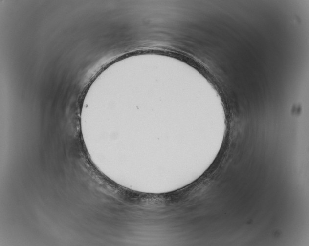 X0000111531363200908111216