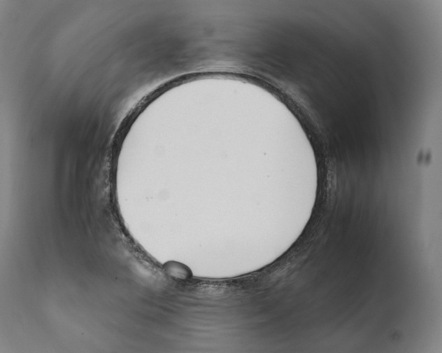 X0000111531364200908111216