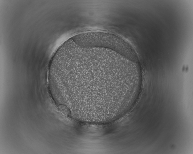 X0000111531365200908111216