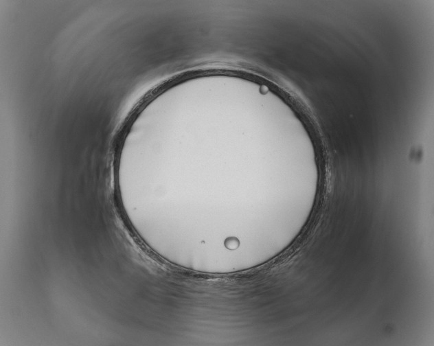 X0000111531368200908111216