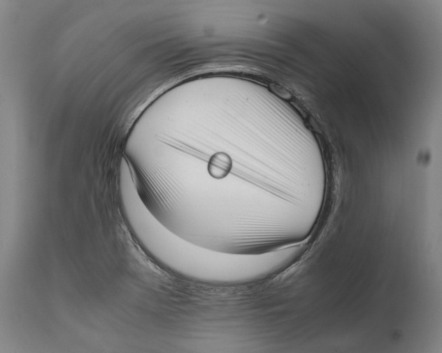 X0000111531369200908111216