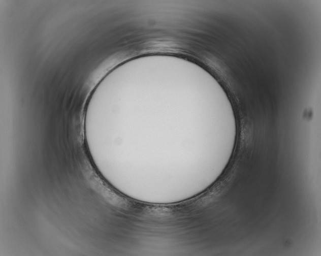 X0000111531370200908111216