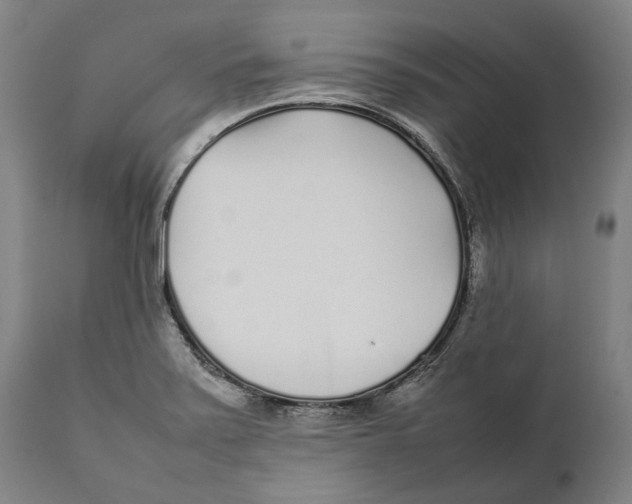 X0000111531371200908111216