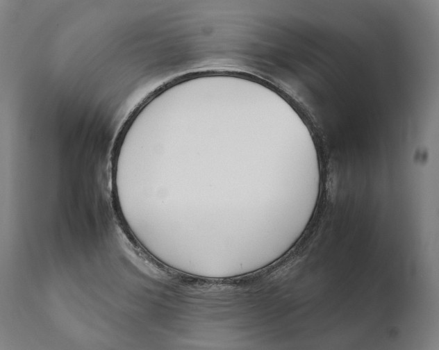 X0000111531372200908111216