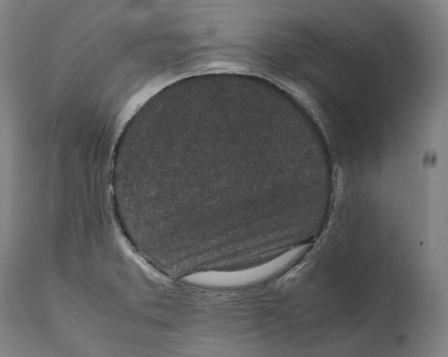 X0000111531373200908111216