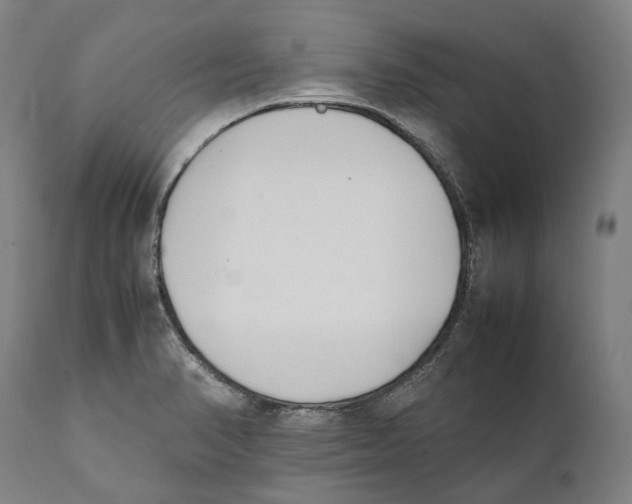 X0000111531374200908111216