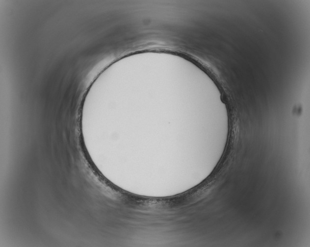 X0000111531375200908111216