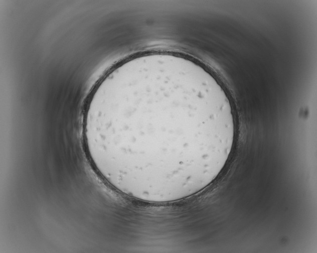 X0000111531376200908111216