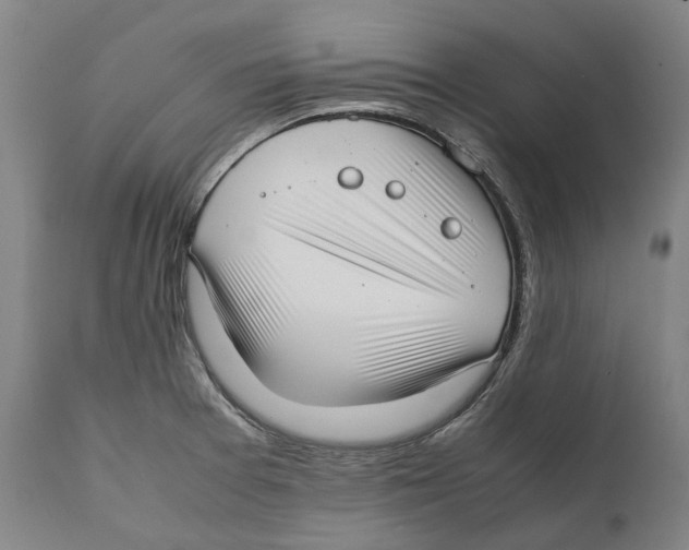 X0000111531377200908111216