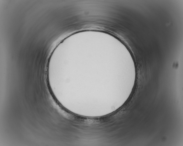 X0000111531379200908111216