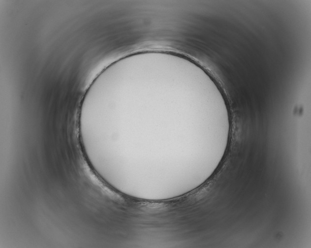 X0000111531382200908111215