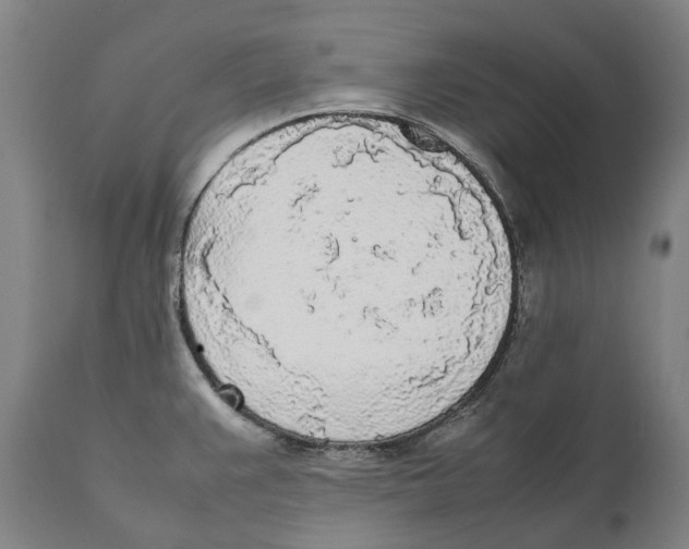 X0000111531383200908111215