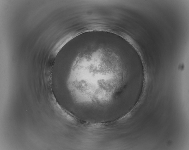 X0000111531385200908111215