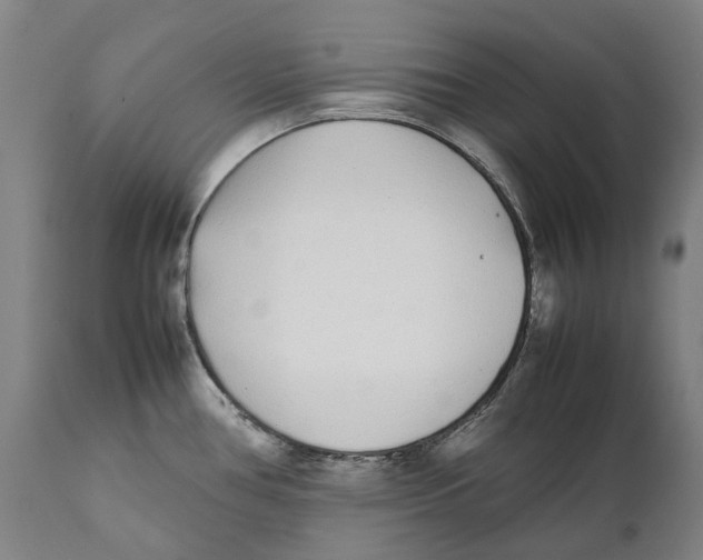 X0000111531386200908111215