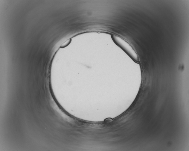 X0000111531387200908111215