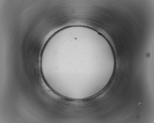 X0000111531388200908111215