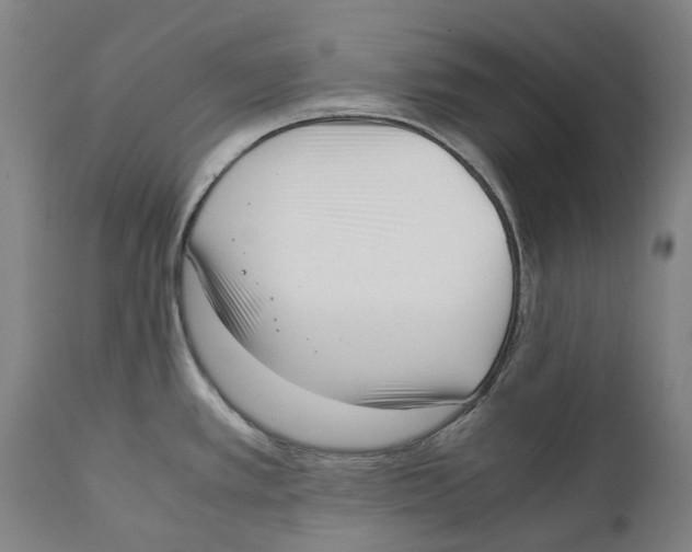 X0000111531389200908111215