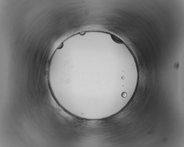 X0000111531390200908111215