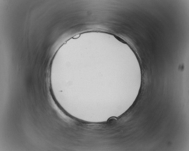 X0000111531391200908111215