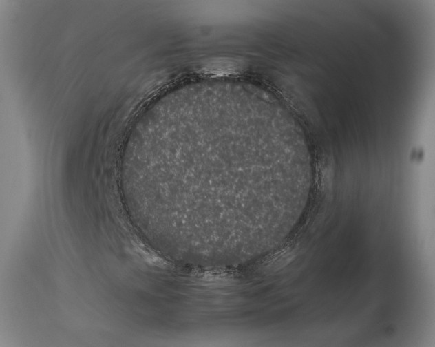 X0000111531393200908111215