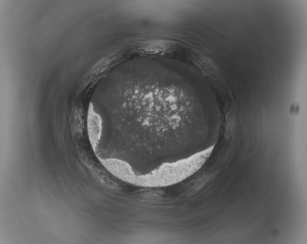 X0000111531394200908111215