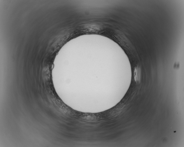 X0000111531395200908111215