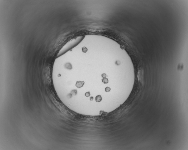 X0000111531396200908111215