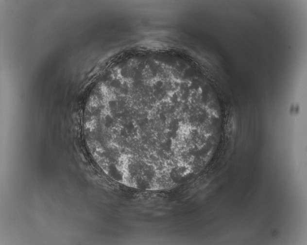 X0000111531397200908111215