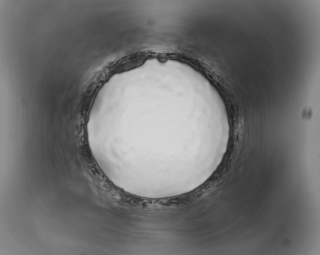 X0000111531398200908111215