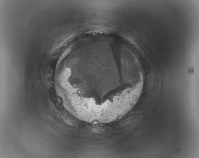 X0000111531399200908111215