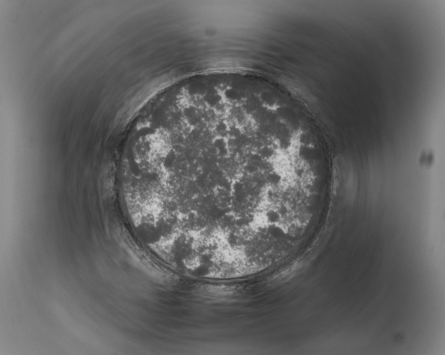 X0000111531401200908111215