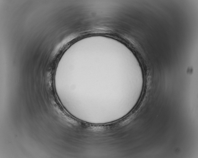 X0000111531402200908111215