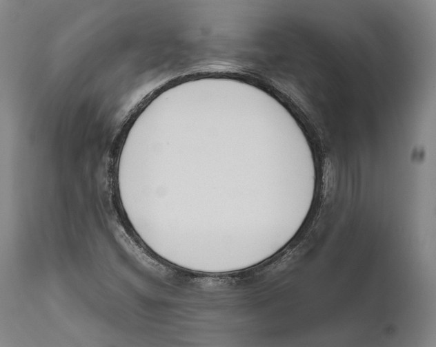 X0000111531404200908111215