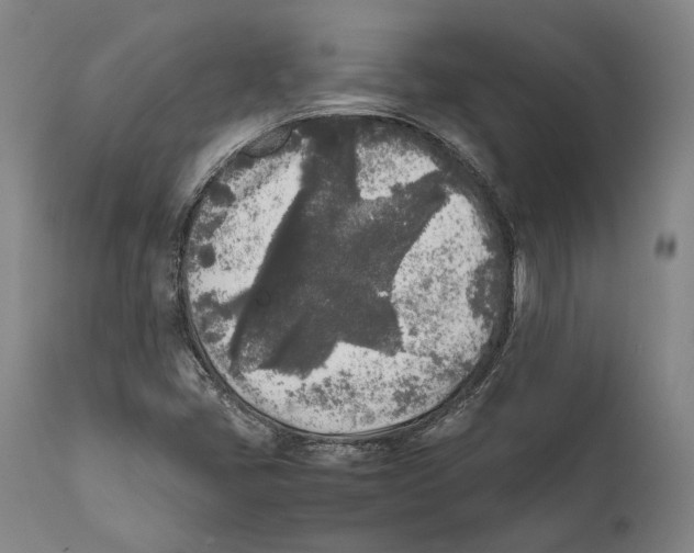 X0000111531405200908111215