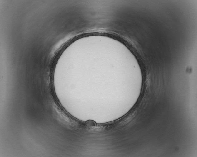 X0000111531406200908111215