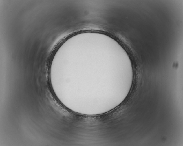 X0000111531408200908111215