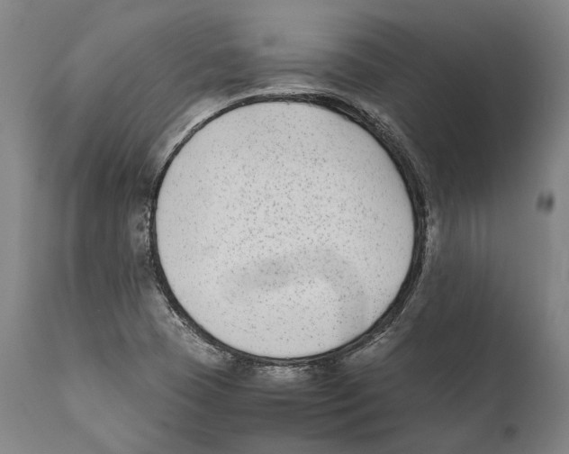 X0000111531409200908111215