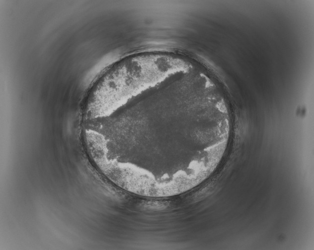 X0000111531411200908111215