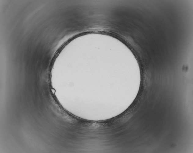 X0000111531412200908111215