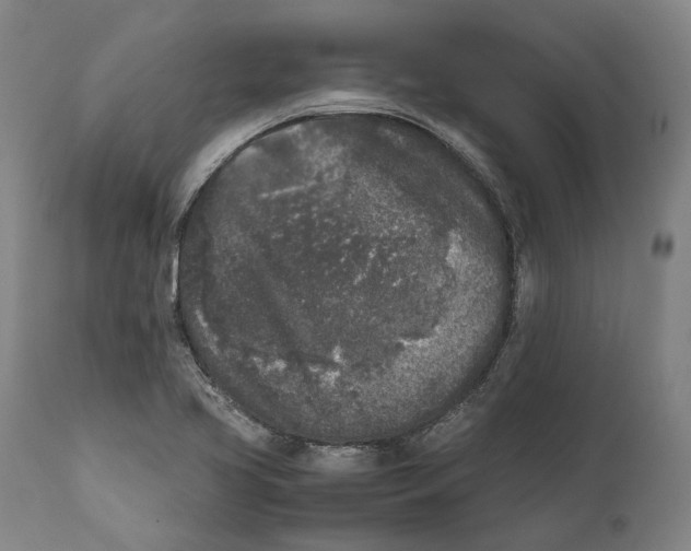 X0000111531413200908111215