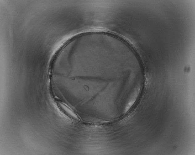 X0000111531414200908111215