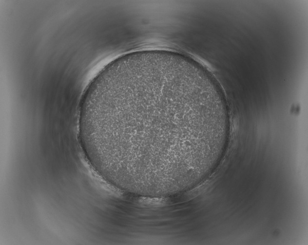 X0000111531415200908111215