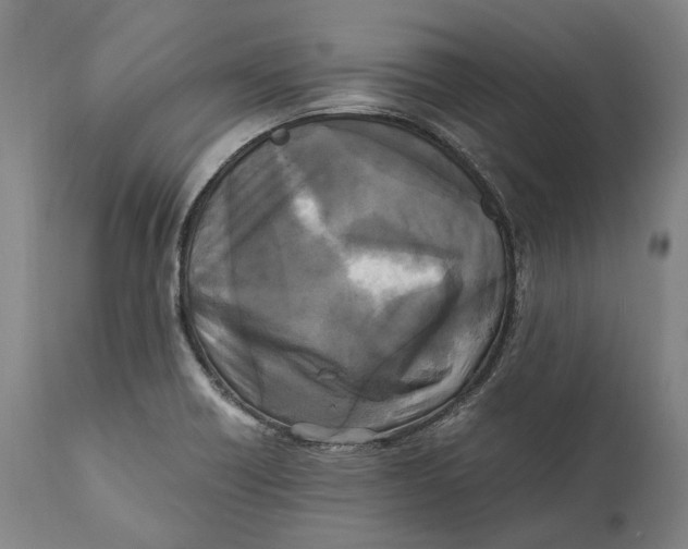 X0000111531418200908111215