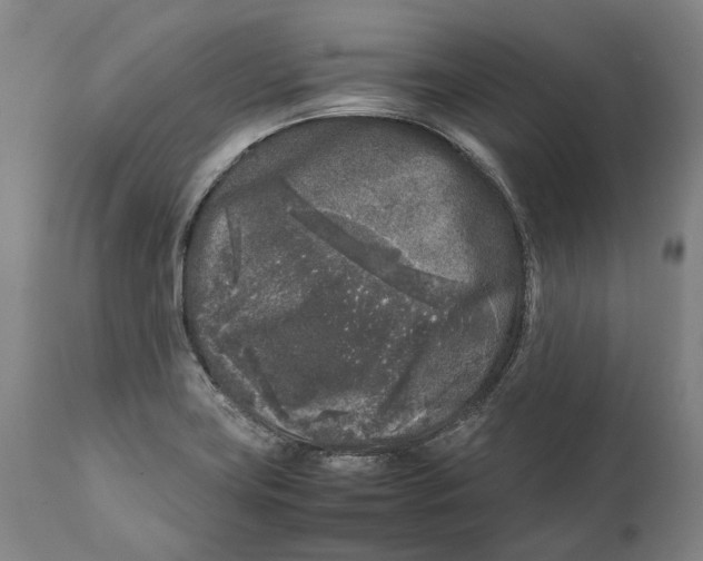 X0000111531419200908111215