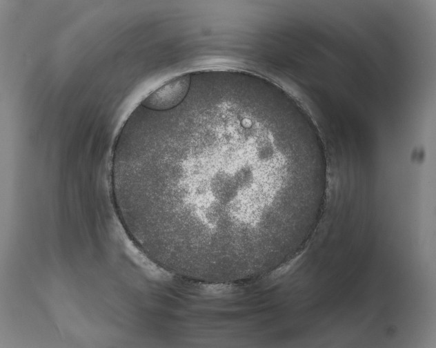 X0000111531421200908111215