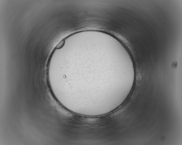 X0000111531423200908111215